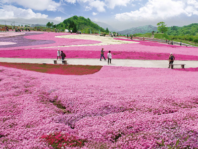 バスツアーの裏側に潜入♪マニアックだけど面白い！「奥三河再発見」ツアーの秘密