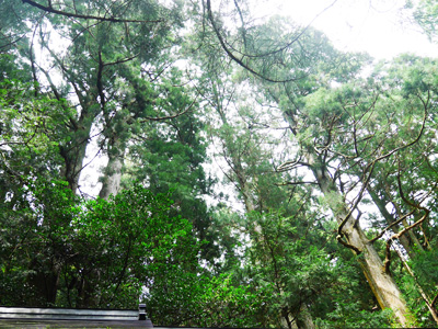 ようこそ、不思議ワールドへ　愛知の秘境・とみやまトリップ