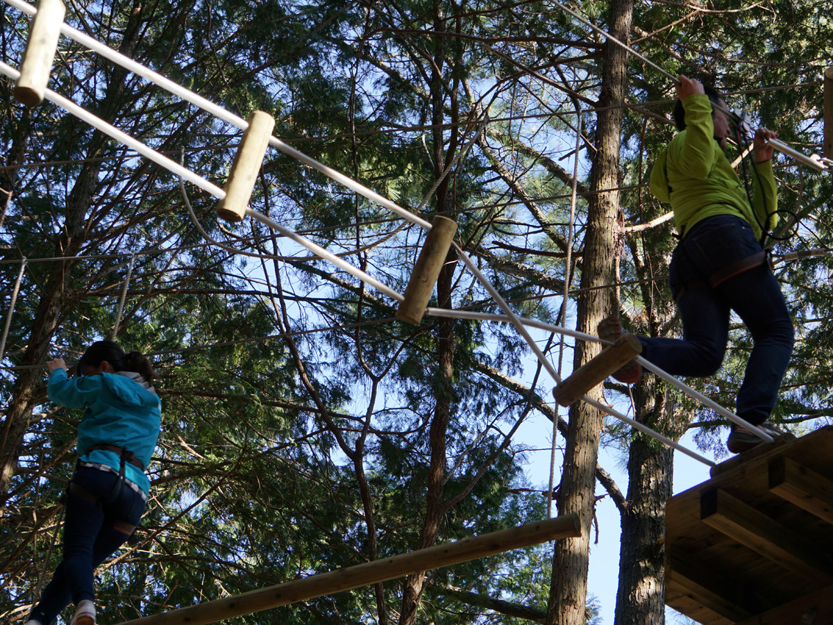 Forest Adventure Shinshiro