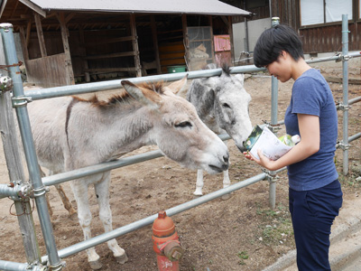 ようこそ、不思議ワールドへ　愛知の秘境・とみやまトリップ