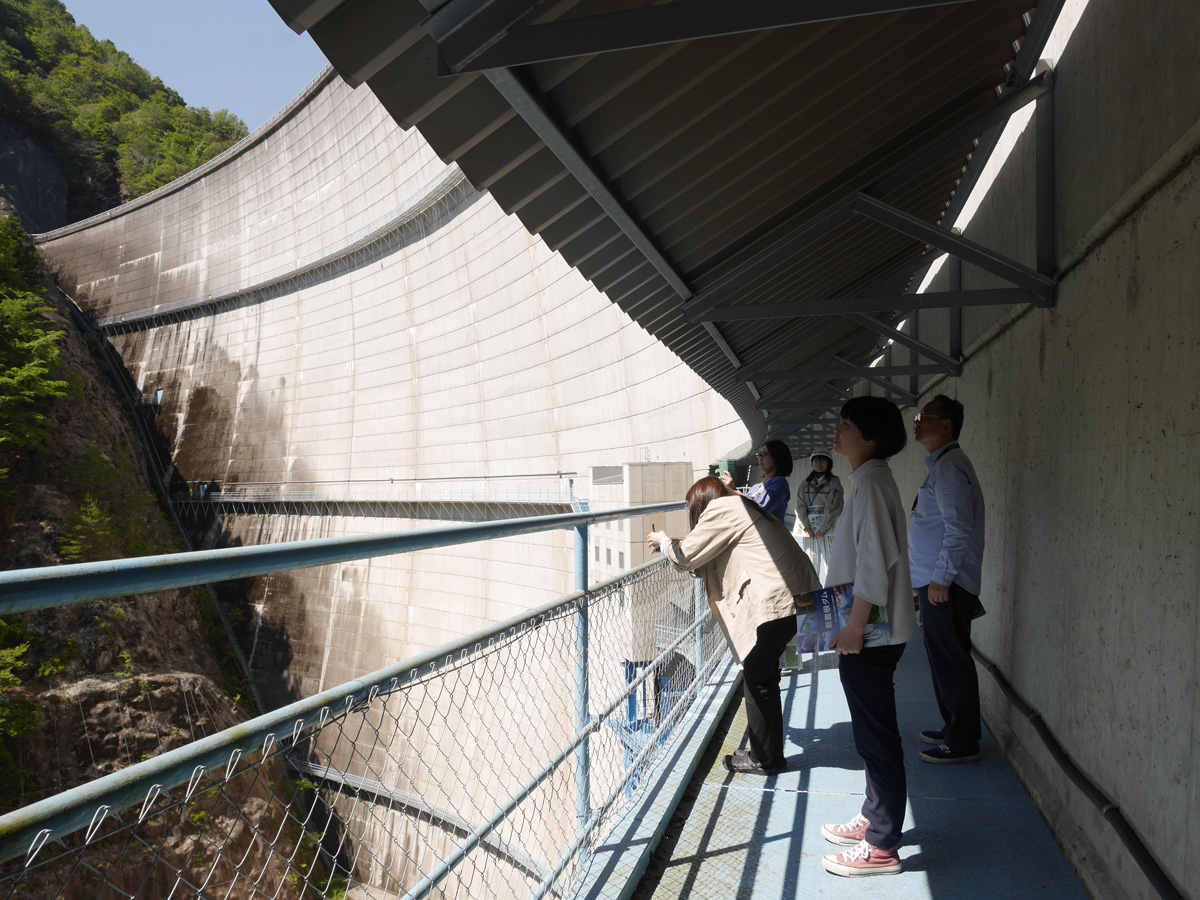 キャットウォーク