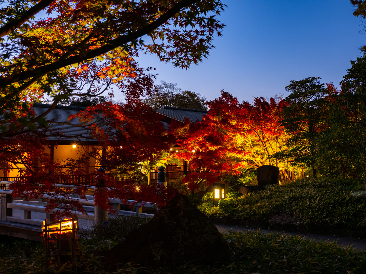 徳川園　紅葉