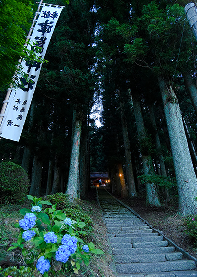奥三河の秘境へ行く注目バスツアー