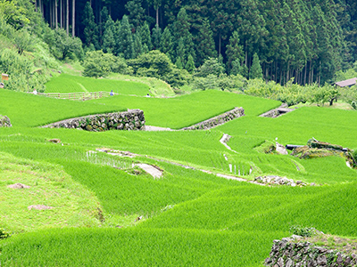 奥三河の秘境へ行く注目バスツアー