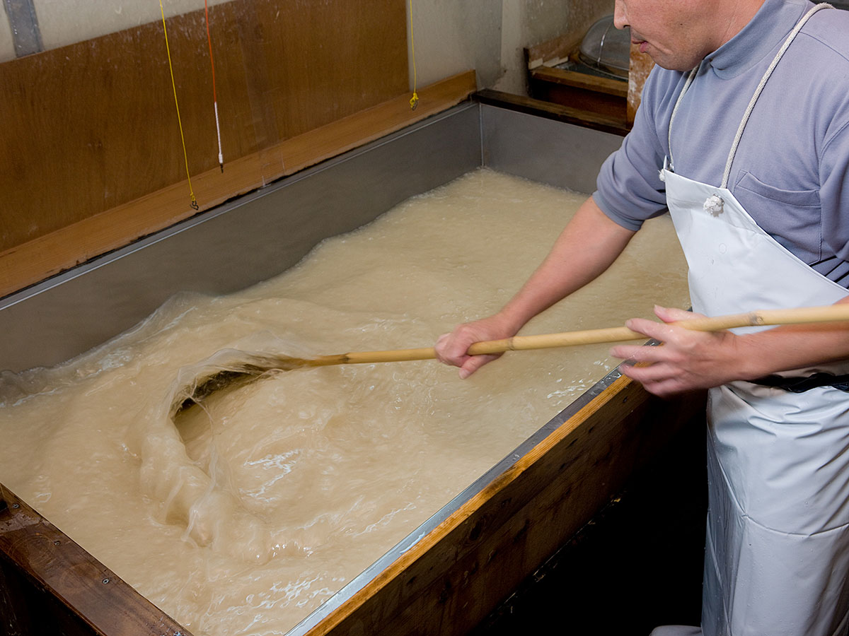 Cherry Blossom and Autumn Leaves Together? Only in Aichi’s Obara! - Four-Seasons Cherry Blossoms & Traditional Washi Paper