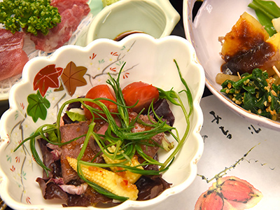 奥三河の秘境へ行く注目バスツアー