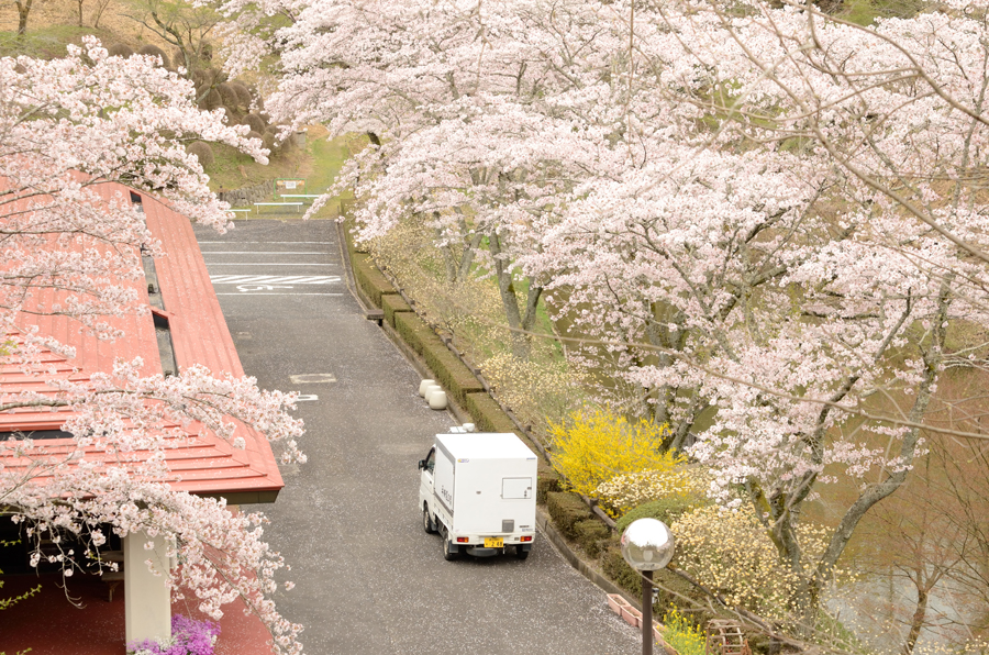 映画「星めぐりの町」