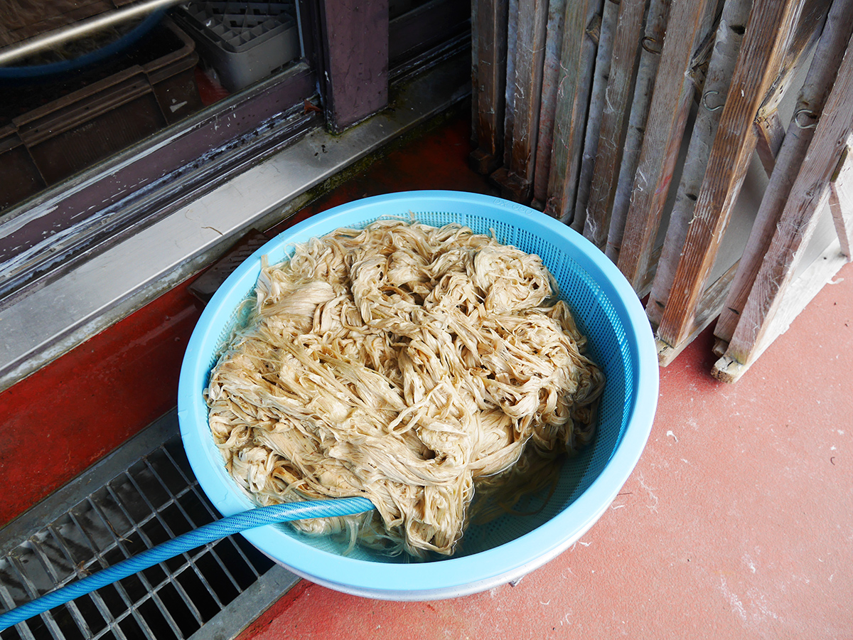 Cherry Blossom and Autumn Leaves Together? Only in Aichi’s Obara! - Four-Seasons Cherry Blossoms & Traditional Washi Paper