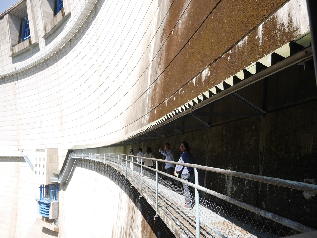 キャットウォーク