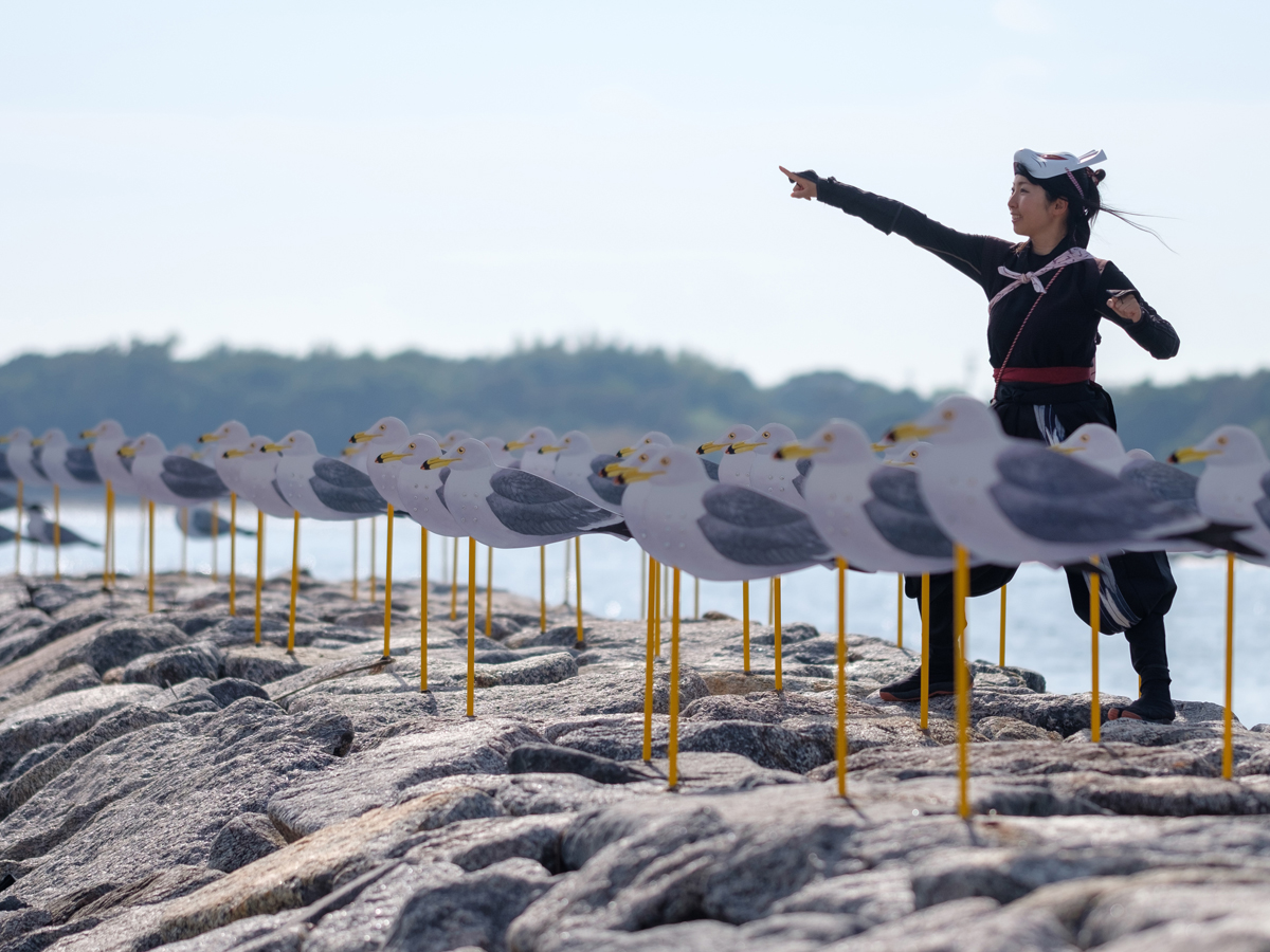カモメの駐車場