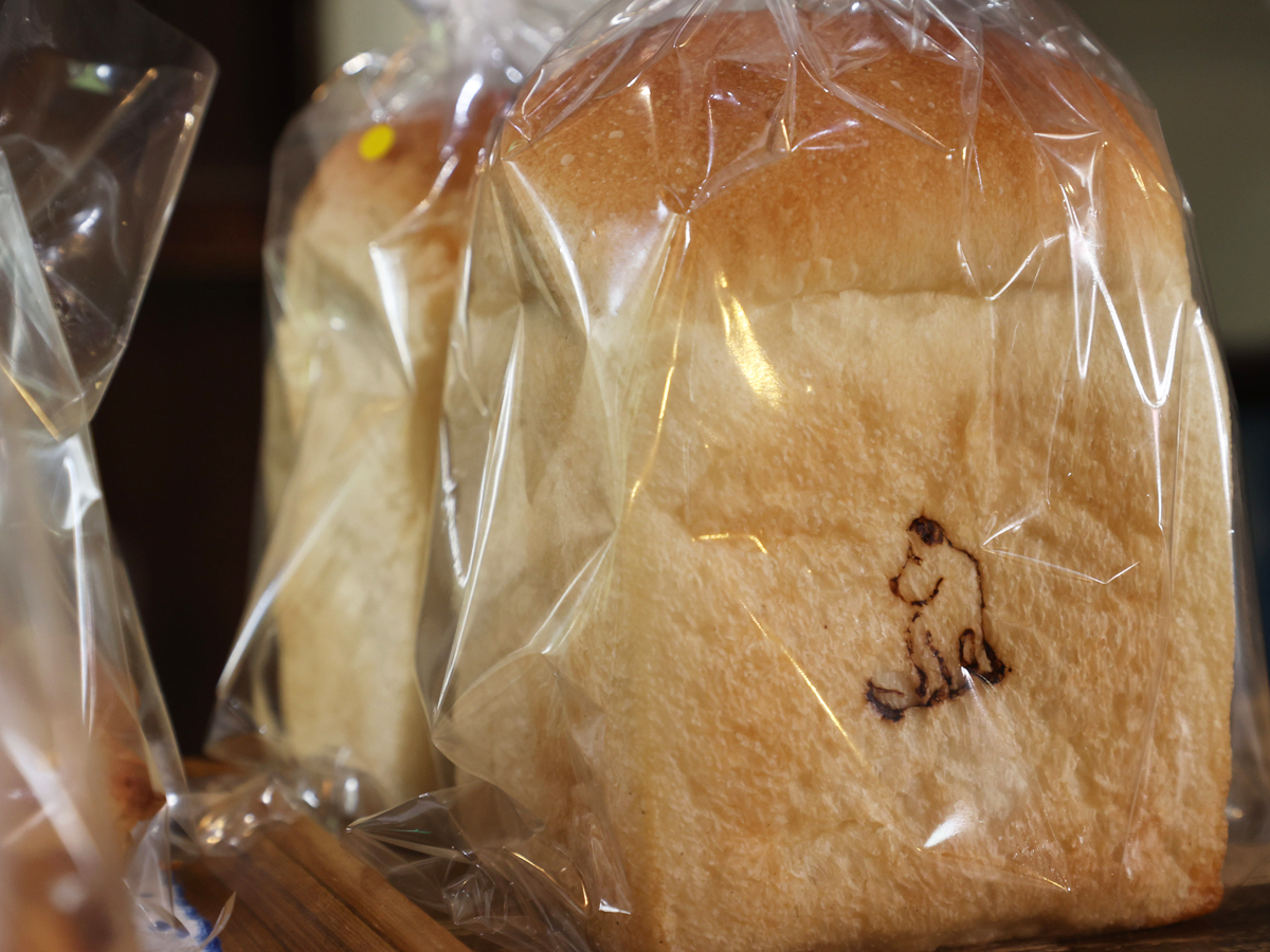 ダーシェンカ　蔵