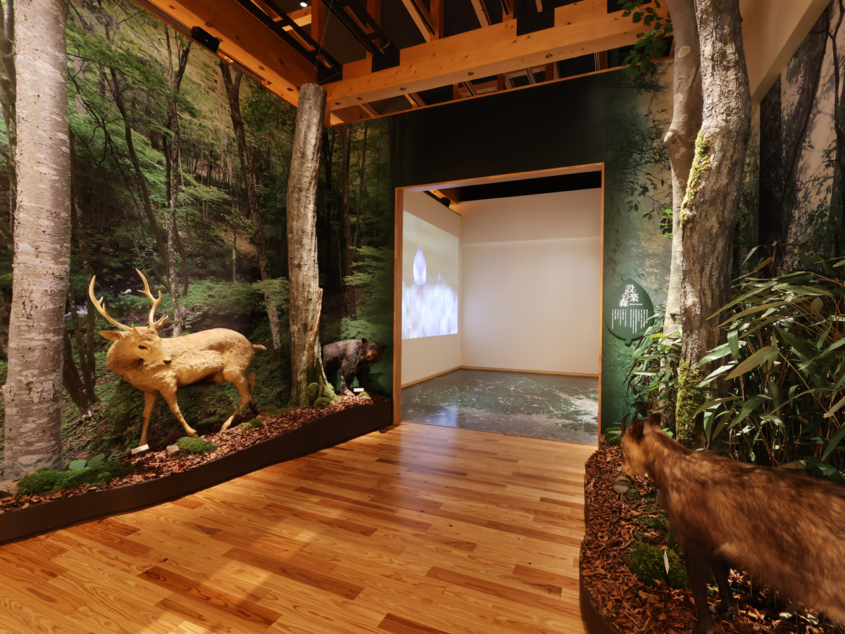 Okumikawa Museum of Local History