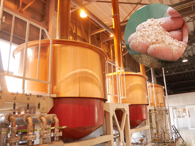 Morita Kinshachi Beer, the "Nagoya Meshi" gourmet companion