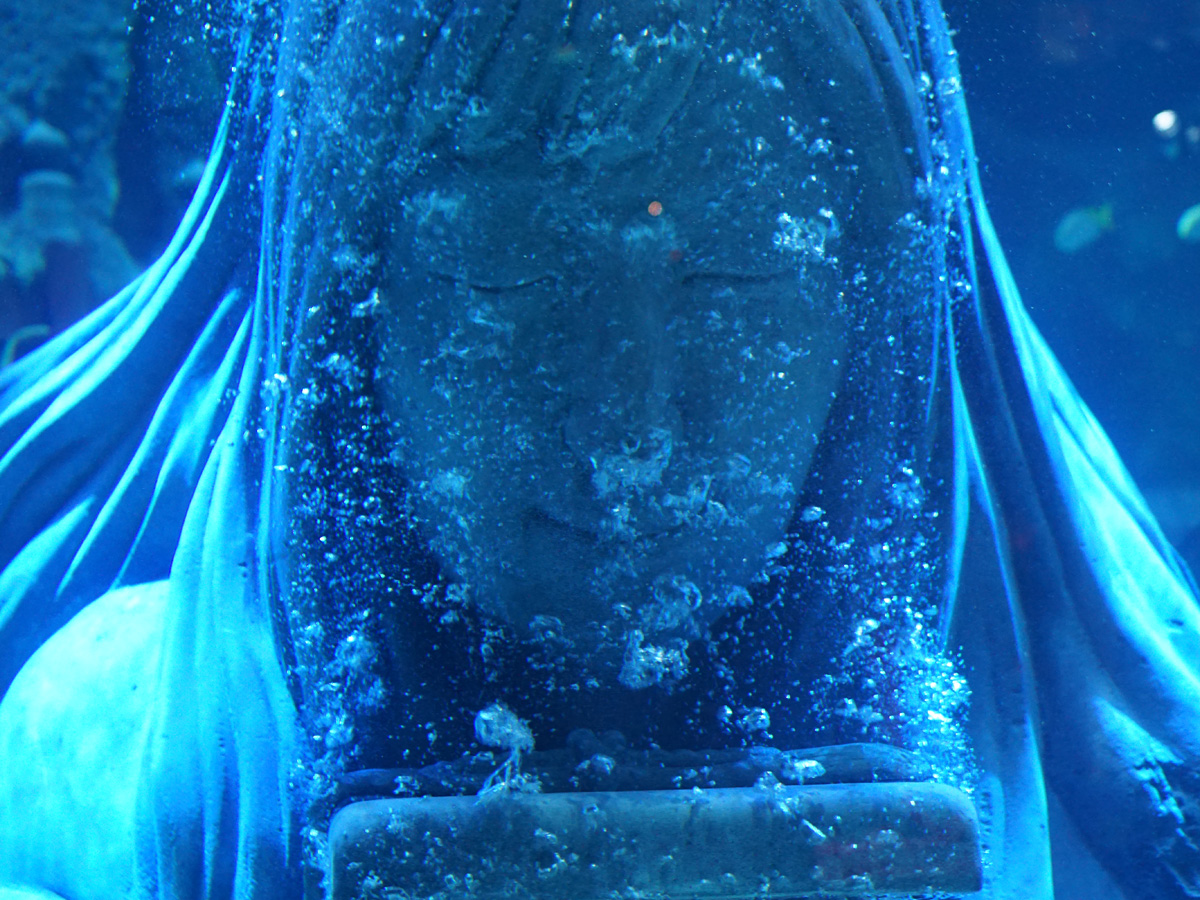 レゴランドシーライフ名古屋