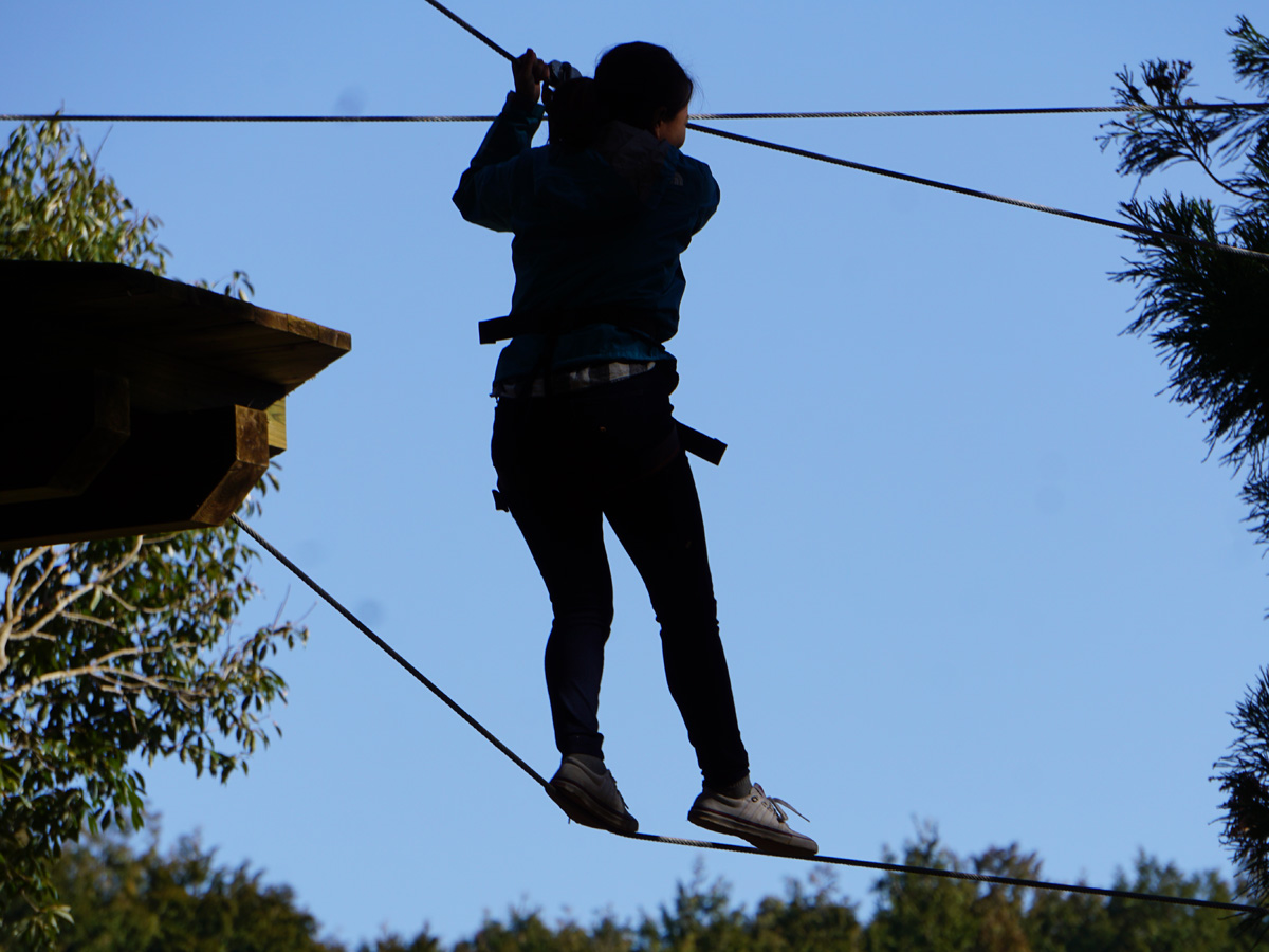 Forest Adventure Shinshiro