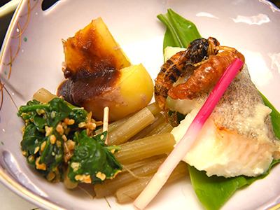 奥三河の秘境へ行く注目バスツアー