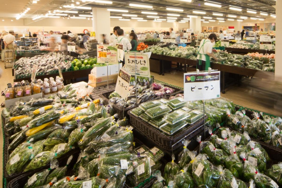 刈谷高速公路绿洲