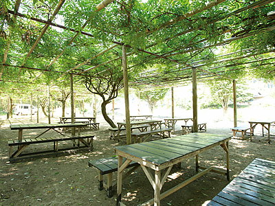 Otogawa River Fishing Weir (Otogawa Yana)