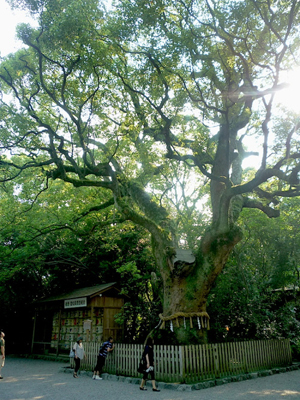 Atsuta Jingu, the Samurai Shrine
