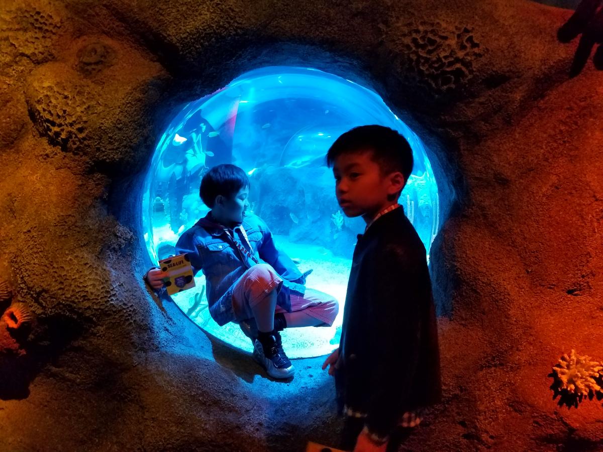 レゴランドシーライフ名古屋