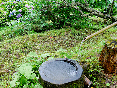 奥三河の秘境へ行く注目バスツアー