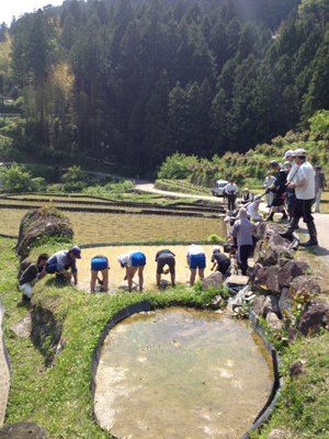 Ancient Cutting-Edge Technology, The Rare, Terraced, Senmaida Ricefields.