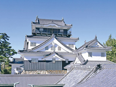 家康公の愛した三河の味噌【～カクキュー「八丁味噌の郷」から～】