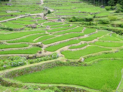 奥三河の秘境へ行く注目バスツアー