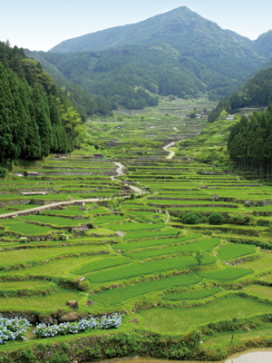 Make-Up In Oku-Mikawa