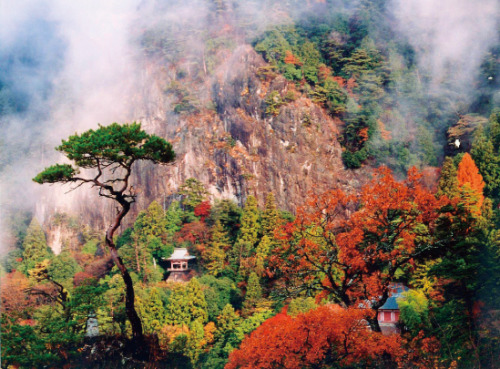 Aichi’s Amazing Autumn Attractions