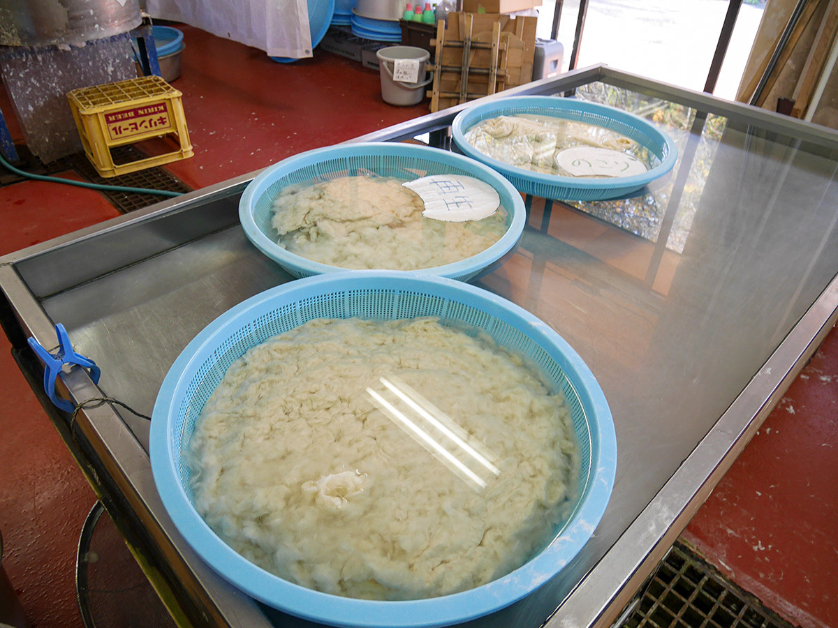 Obara Shikizakura Cherry Trees and Washi Japanese Paper