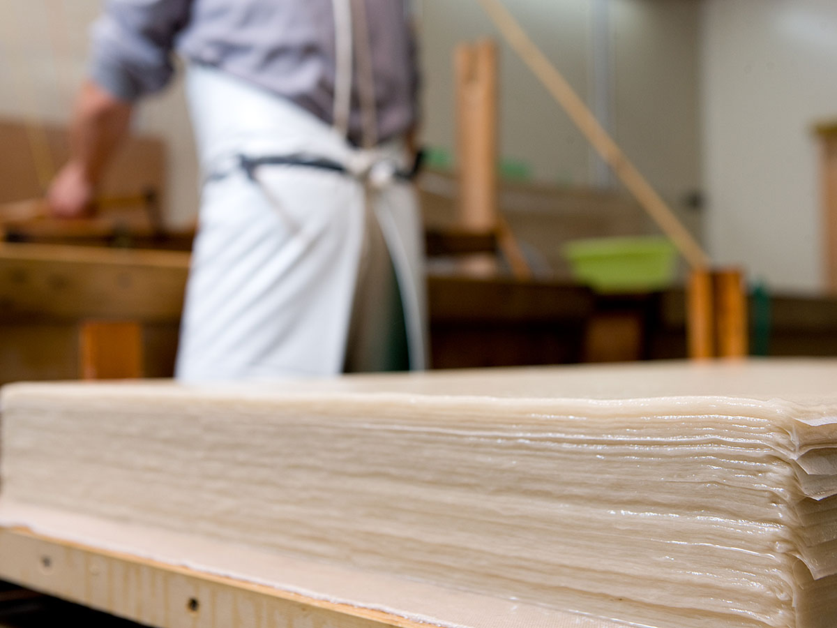 Cherry Blossom and Autumn Leaves Together? Only in Aichi’s Obara! - Four-Seasons Cherry Blossoms & Traditional Washi Paper