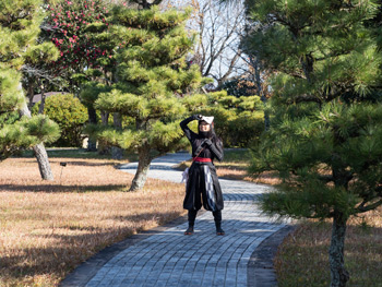 船頭平河川公園