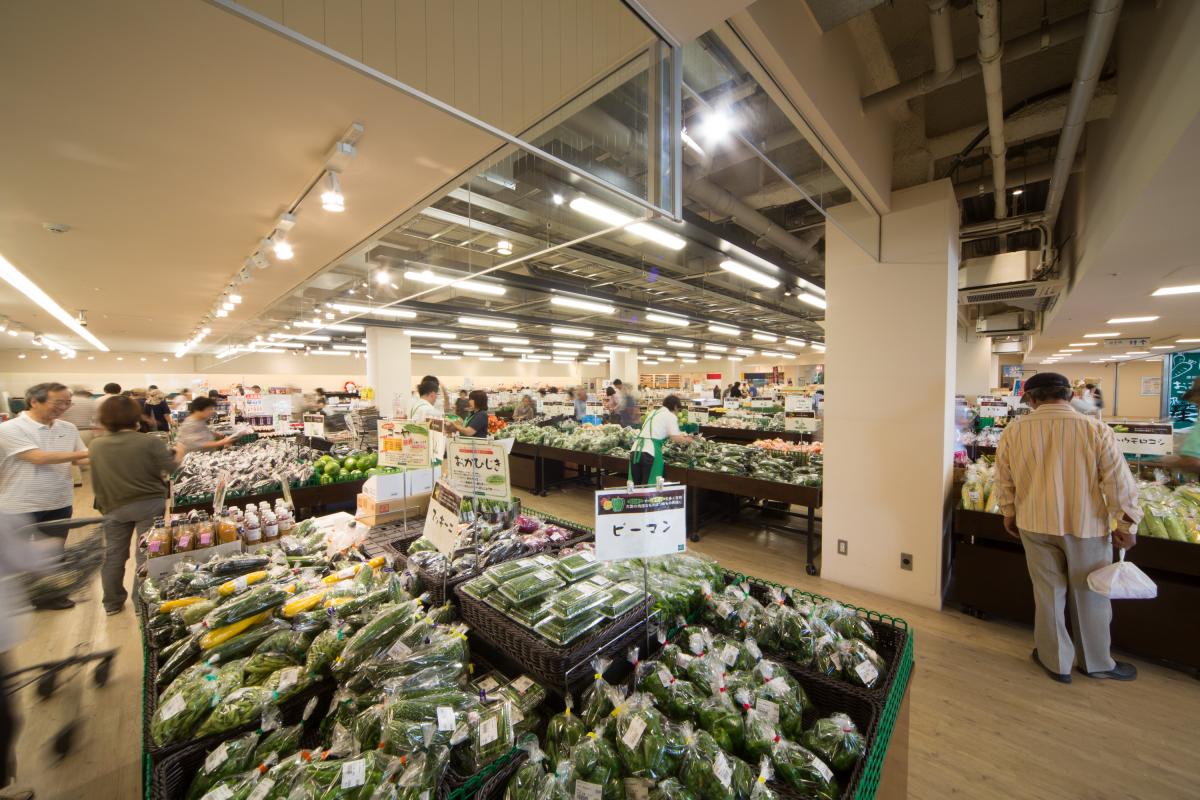 刈谷高速公路綠洲