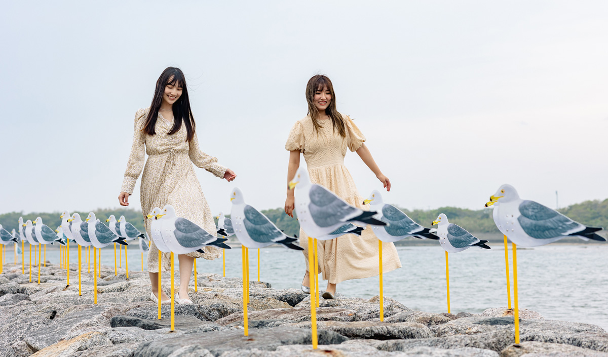 カモメの駐車場