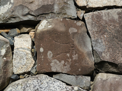 A Walk Around Nagoya’s Samurai Castle