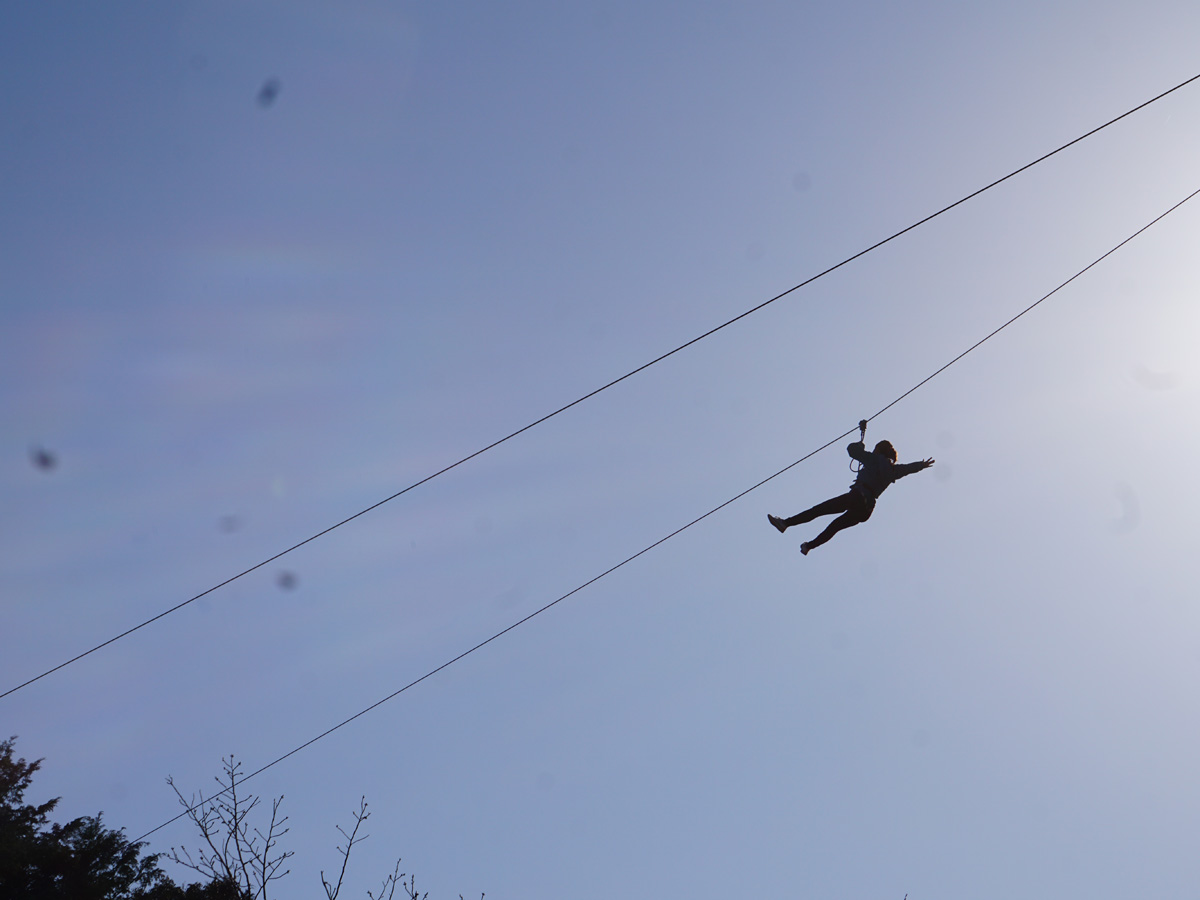 フォレストアドベンチャー・新城