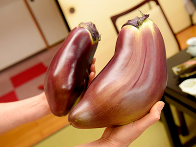 奥三河の秘境へ行く注目バスツアー