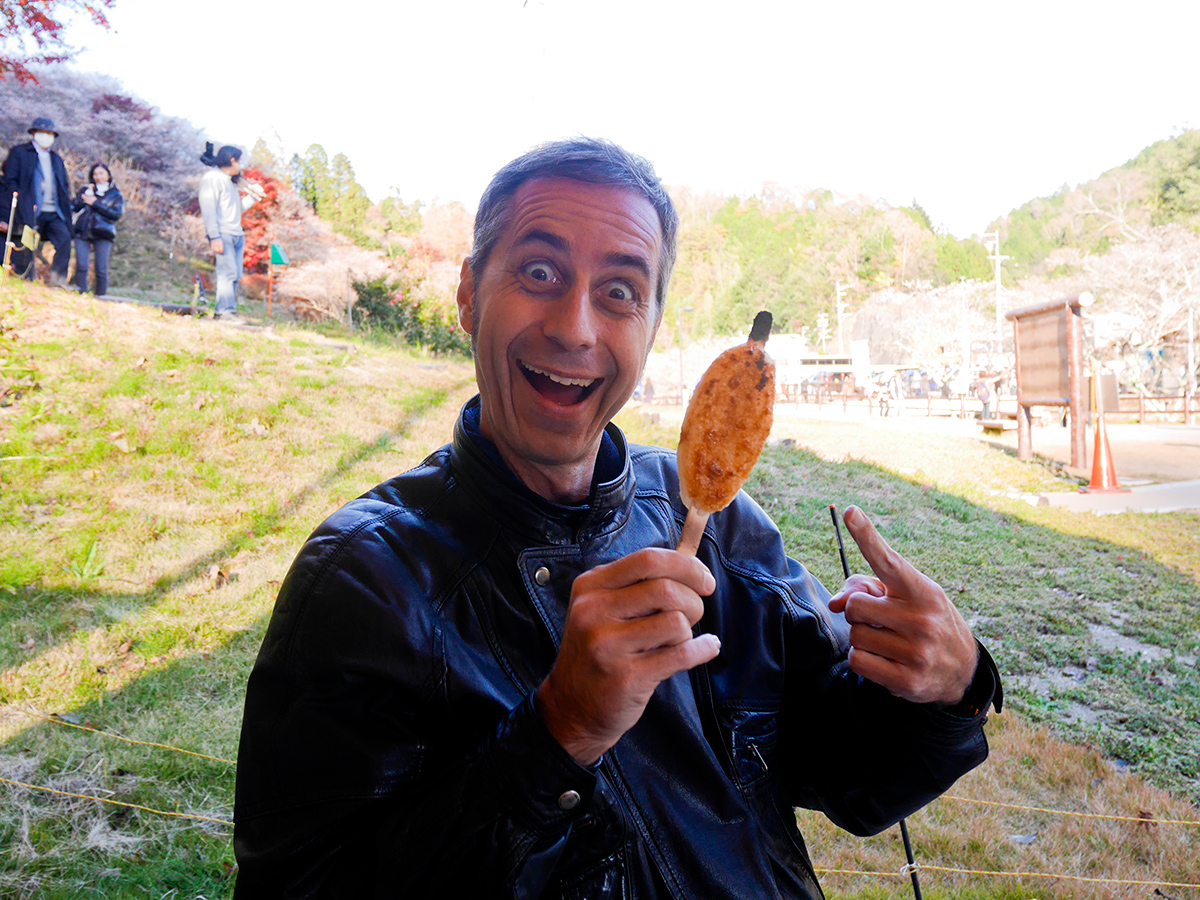 Cherry Blossom and Autumn Leaves Together? Only in Aichi’s Obara! - Four-Seasons Cherry Blossoms & Traditional Washi Paper