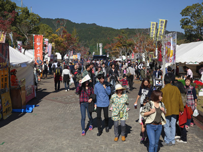 ド素人の新城ラリー観戦記