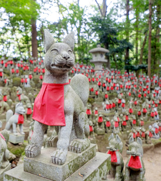 感染予防をしながらあいち観光を楽しもう!<br>~感染防止のスゴイ取り組みを紹介~<br>豊川稲荷