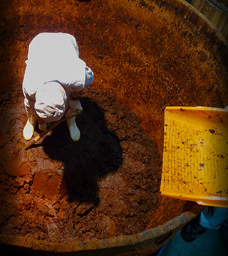 Miso, the Secret Weapon of the Samurai of Aichi