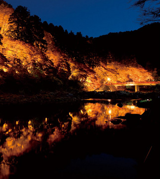 蔵元に聞く!ひやおろしの魅力