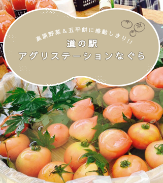 道の駅アグリステーションなぐら