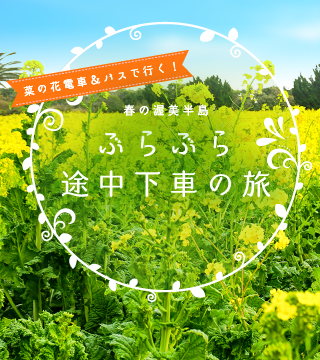 菜の花電車&バスで行く!春の渥美半島 ぶらぶら途中下車の旅