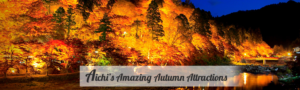 Aichi’s Amazing Autumn Attractions