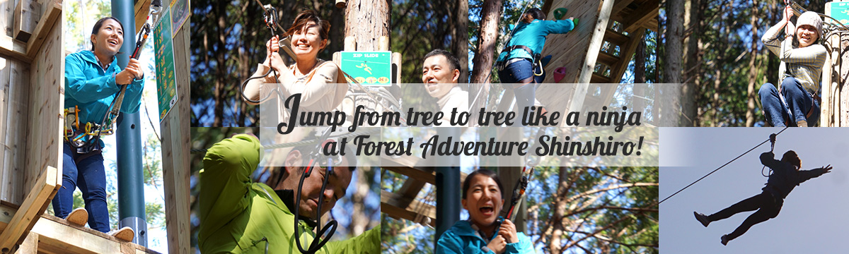 Forest Adventure Shinshiro