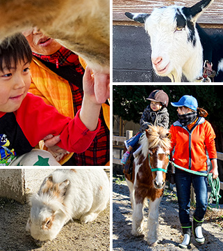 動物&花畑♡癒しの体験スポット「愛知牧場」へ行こう!