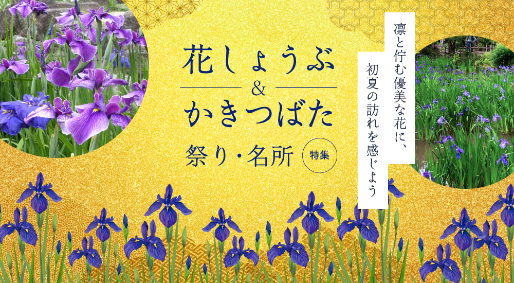 花しょうぶ＆かきつばた祭り・名所特集